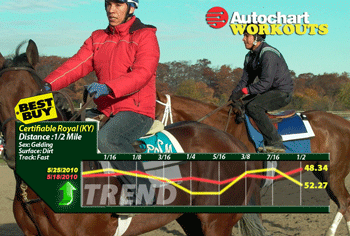 Autochart-generic-Workout-TREND-350