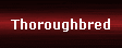 Thoroughbred
