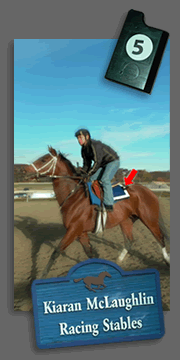 composite fly horse kiaran2