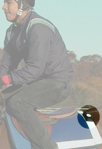 Autochart Sensor Velcro snapped to saddle pad
